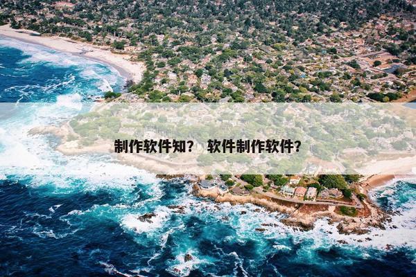 制作软件知？ 软件制作软件？