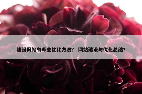 建设网站有哪些优化方法？ 网站建设与优化总结？
