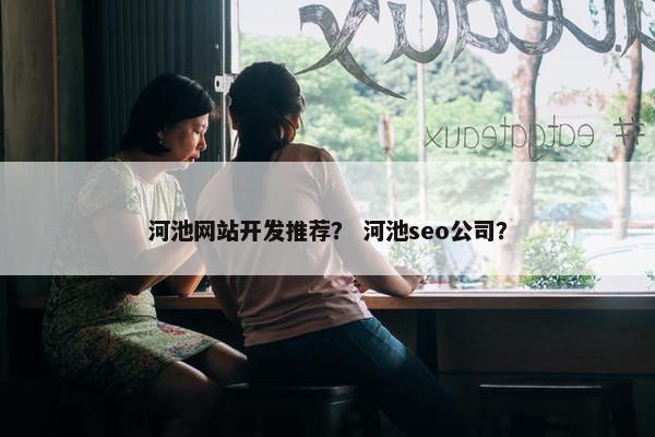 河池网站开发推荐？ 河池seo公司？