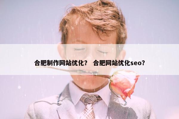 合肥制作网站优化？ 合肥网站优化seo？