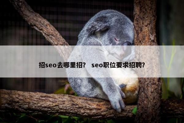 招seo去哪里招？ seo职位要求招聘？