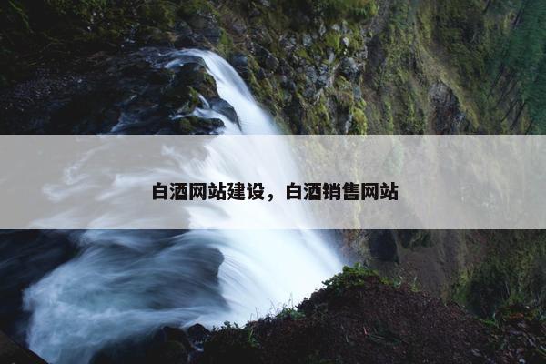 白酒网站建设，白酒销售网站