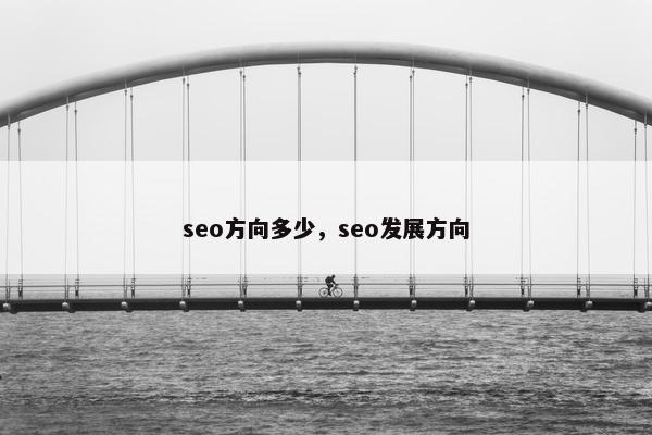 seo方向多少，seo发展方向