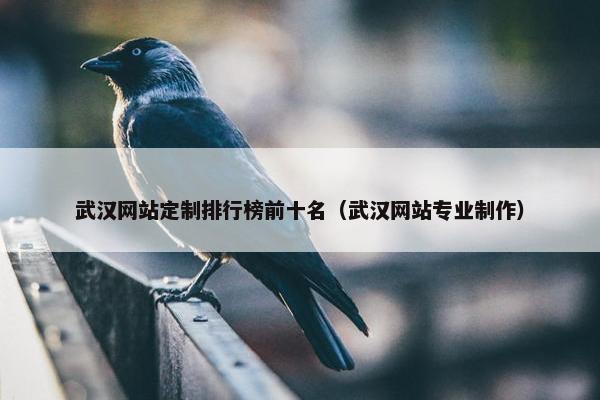 武汉网站定制排行榜前十名（武汉网站专业制作）