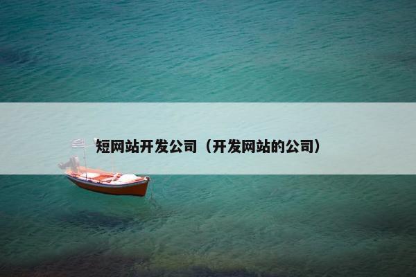 短网站开发公司（开发网站的公司）