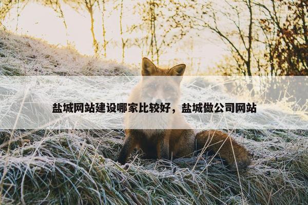 盐城网站建设哪家比较好，盐城做公司网站