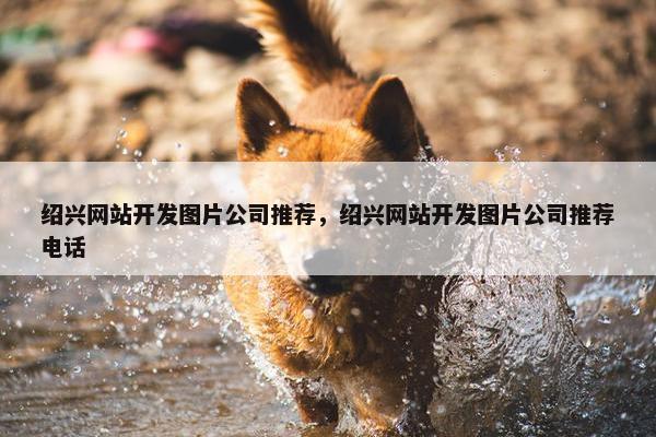 绍兴网站开发图片公司推荐，绍兴网站开发图片公司推荐电话