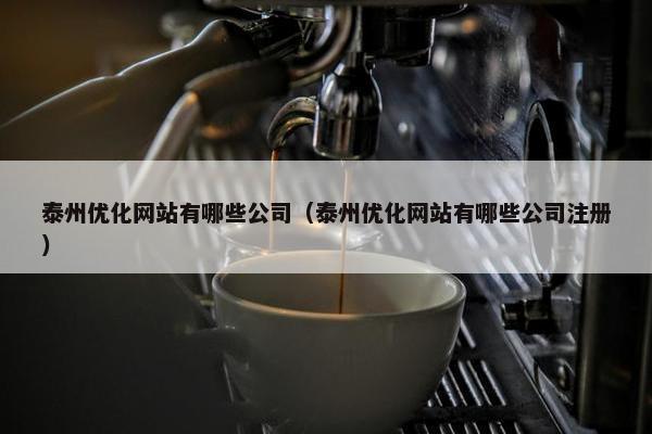 泰州优化网站有哪些公司（泰州优化网站有哪些公司注册）