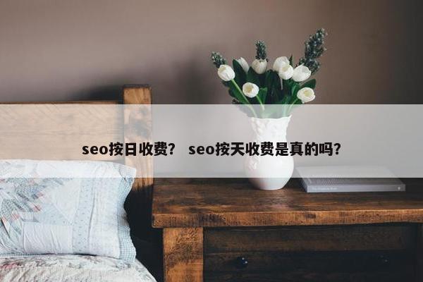 seo按日收费？ seo按天收费是真的吗？