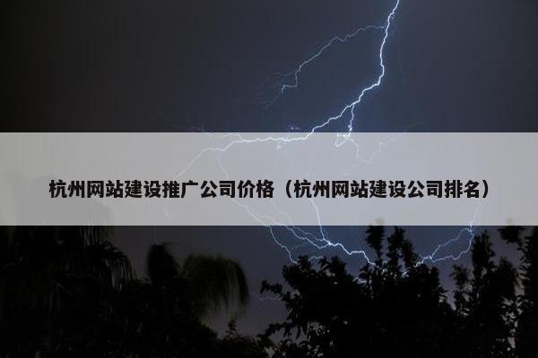 杭州网站建设推广公司价格（杭州网站建设公司排名）