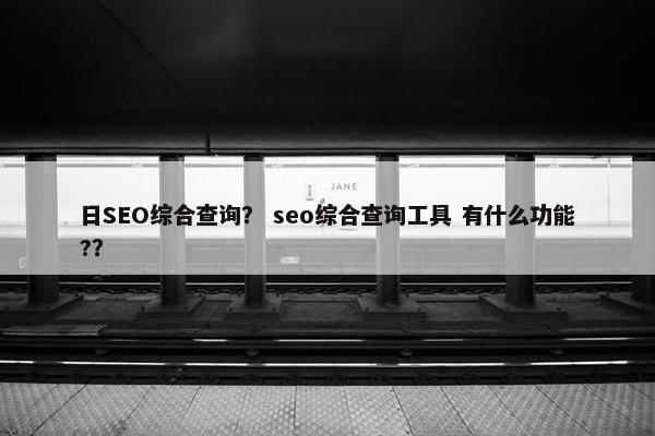 日SEO综合查询？ seo综合查询工具 有什么功能?？
