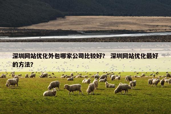 深圳网站优化外包哪家公司比较好？ 深圳网站优化最好的方法？