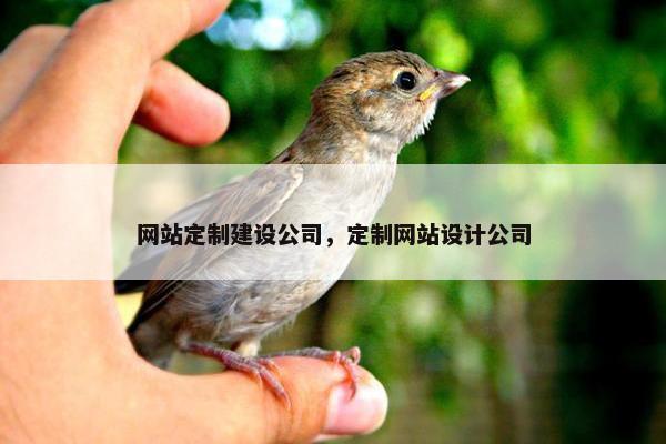 网站定制建设公司，定制网站设计公司