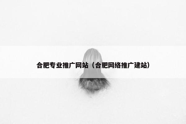 合肥专业推广网站（合肥网络推广建站）