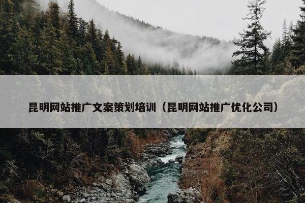 昆明网站推广文案策划培训（昆明网站推广优化公司）
