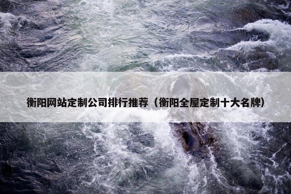 衡阳网站定制公司排行推荐（衡阳全屋定制十大名牌）