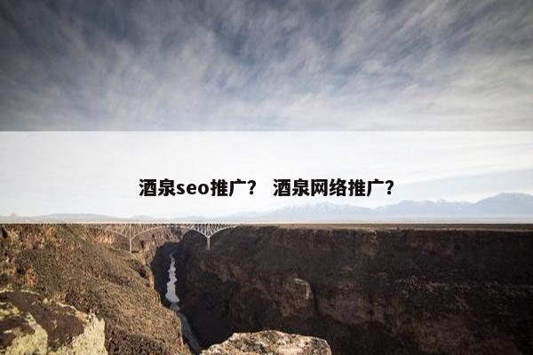 酒泉seo推广？ 酒泉网络推广？
