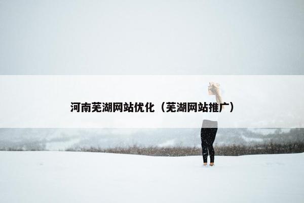 河南芜湖网站优化（芜湖网站推广）
