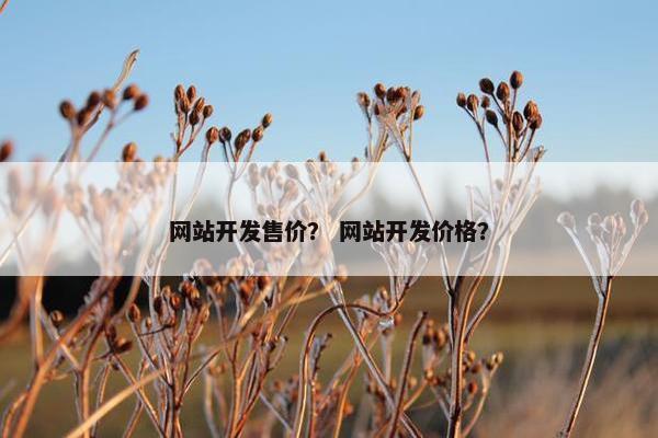 网站开发售价？ 网站开发价格？