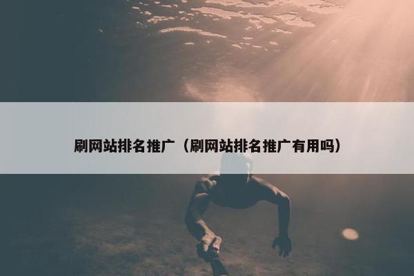 刷网站排名推广（刷网站排名推广有用吗）