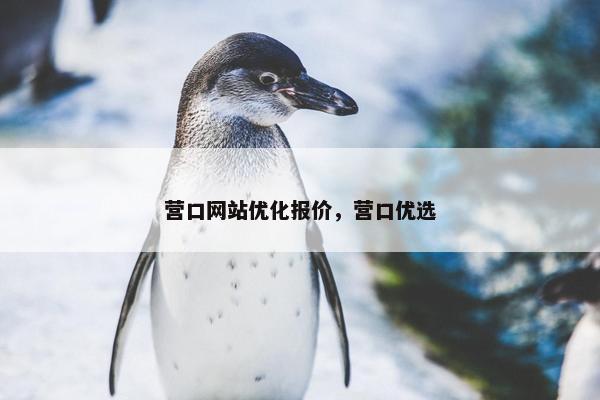 营口网站优化报价，营口优选