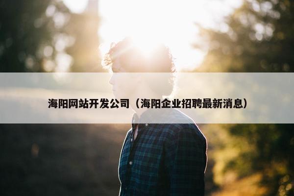 海阳网站开发公司（海阳企业招聘最新消息）