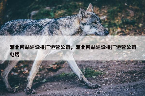 浦北网站建设推广运营公司，浦北网站建设推广运营公司电话