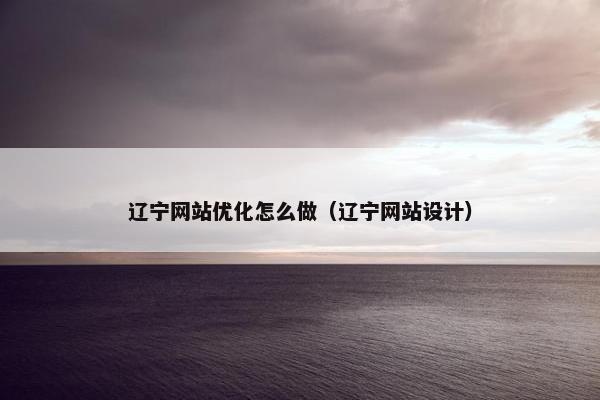 辽宁网站优化怎么做（辽宁网站设计）