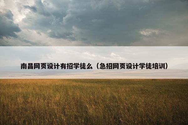 南昌网页设计有招学徒么（急招网页设计学徒培训）