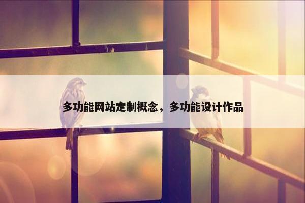 多功能网站定制概念，多功能设计作品