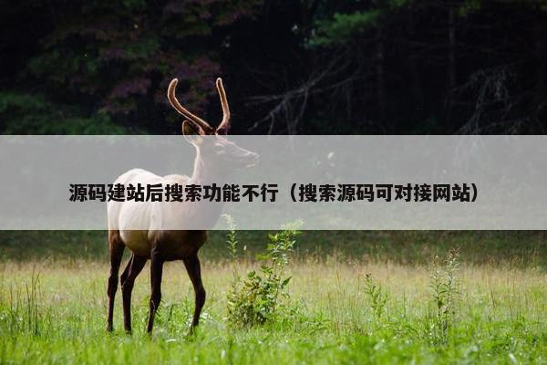 源码建站后搜索功能不行（搜索源码可对接网站）
