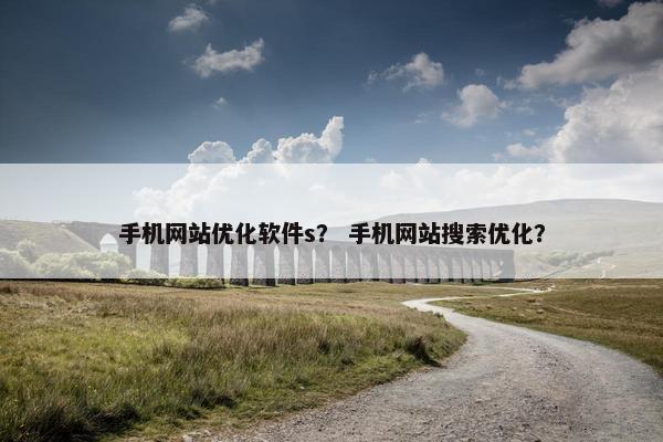 手机网站优化软件s？ 手机网站搜索优化？