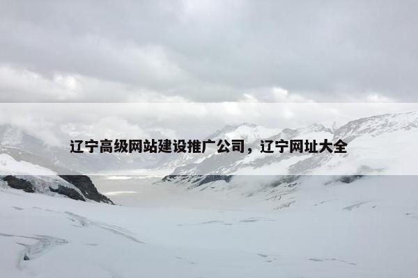辽宁高级网站建设推广公司，辽宁网址大全