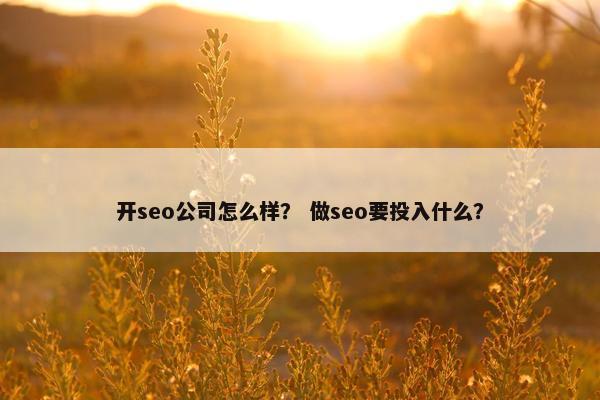 开seo公司怎么样？ 做seo要投入什么？