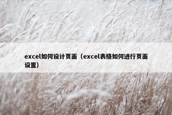 excel如何设计页面（excel表格如何进行页面设置）