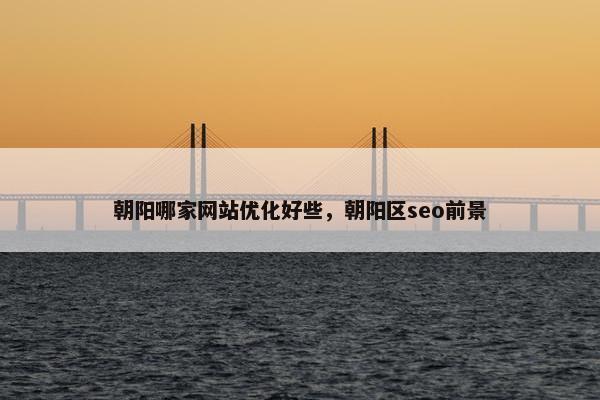 朝阳哪家网站优化好些，朝阳区seo前景