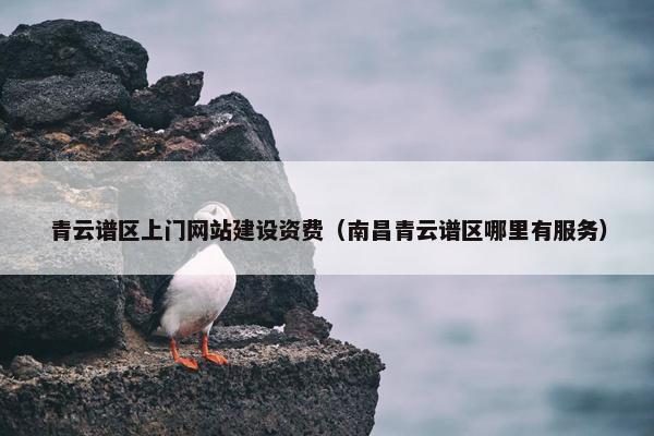 青云谱区上门网站建设资费（南昌青云谱区哪里有服务）