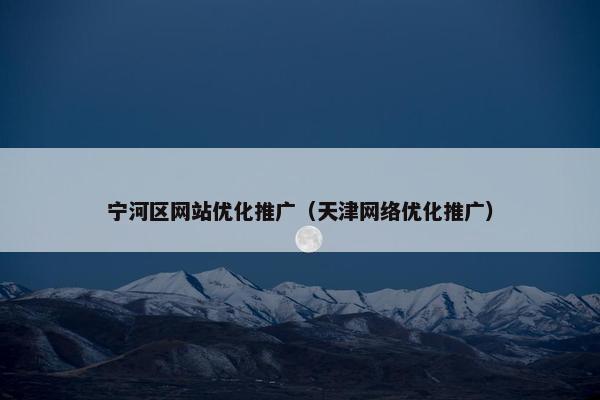 宁河区网站优化推广（天津网络优化推广）