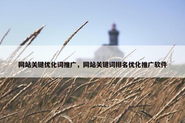 网站关键优化词推广，网站关键词排名优化推广软件