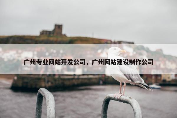 广州专业网站开发公司，广州网站建设制作公司