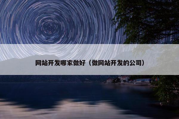网站开发哪家做好（做网站开发的公司）