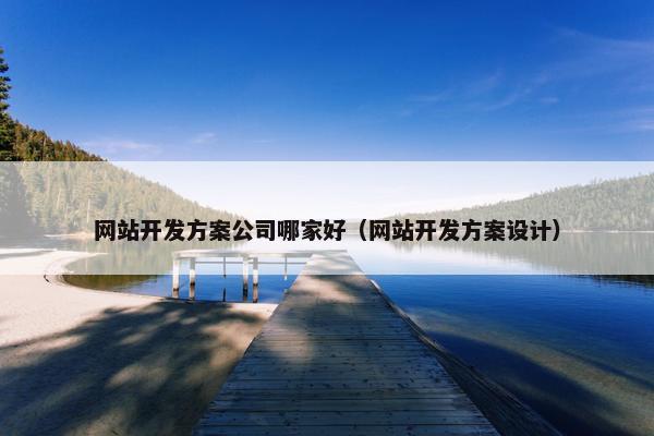 网站开发方案公司哪家好（网站开发方案设计）