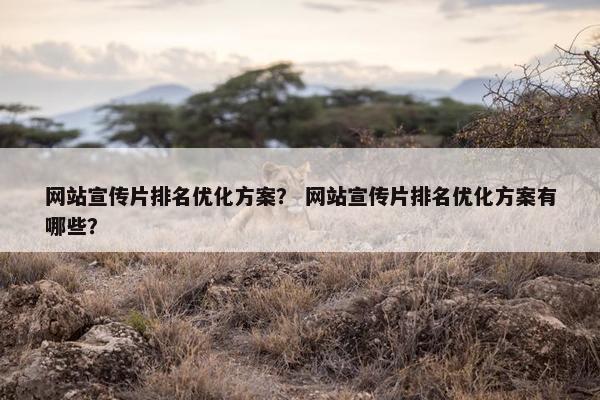 网站宣传片排名优化方案？ 网站宣传片排名优化方案有哪些？