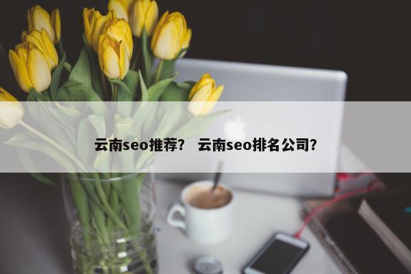 云南seo推荐？ 云南seo排名公司？