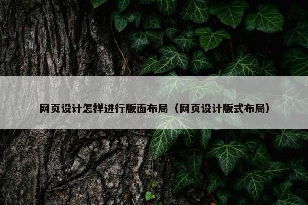 网页设计怎样进行版面布局（网页设计版式布局）
