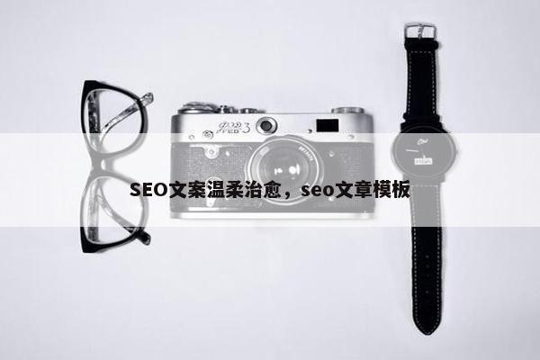 SEO文案温柔治愈，seo文章模板