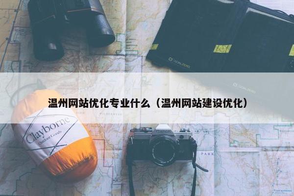 温州网站优化专业什么（温州网站建设优化）