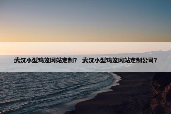 武汉小型鸡笼网站定制？ 武汉小型鸡笼网站定制公司？