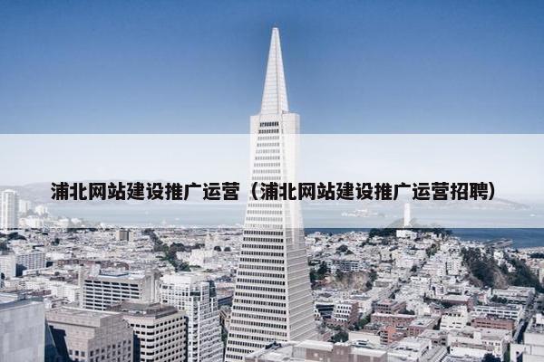 浦北网站建设推广运营（浦北网站建设推广运营招聘）
