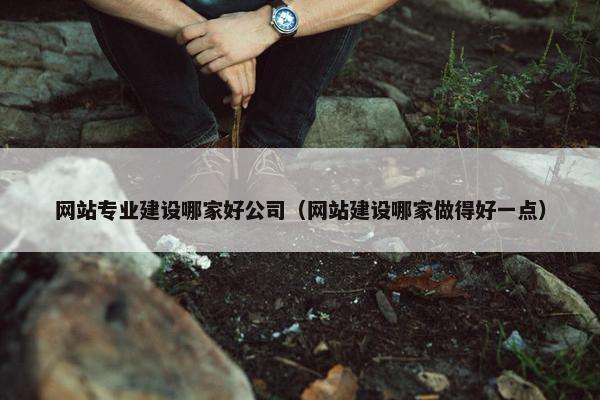 网站专业建设哪家好公司（网站建设哪家做得好一点）